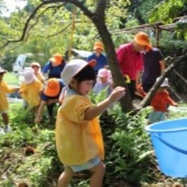 Làm gì khi sang thu: Xách giỏ lên và đi nhặt hạt dẻ!